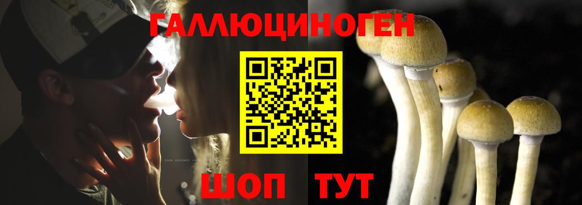 Галлюциногенные грибы мицелий  Вход с VPN  Галлюциногенные грибы Psilocybe  Еманжелинск 